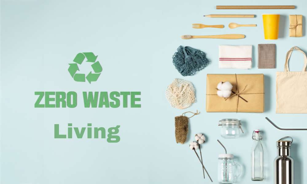 A Beginner’s Guide to Zero-Waste Living Essential Products You Need