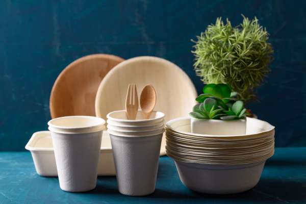 Navigating the World of Biodegradable Products