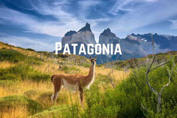 Patagonia